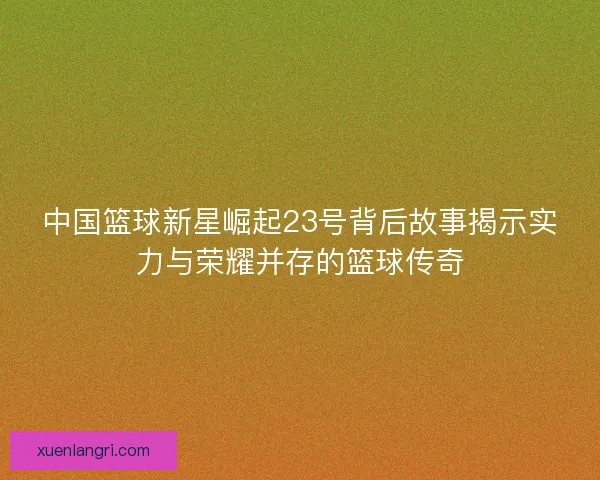 中国篮球新星崛起23号背后故事揭示实力与荣耀并存的篮球传奇 中国篮球新星崛起23号背后故事揭示实力与荣耀并存的篮球传奇